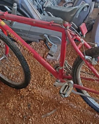 biciclette usate