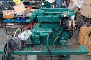Motore marino volvo 2003 con piedino