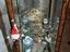Immagine 2