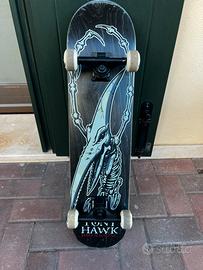 Skateboard Birdhouse Tony Hawk