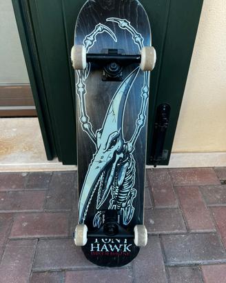 Skateboard Birdhouse Tony Hawk