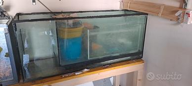 acquario 
