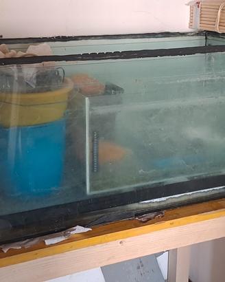 acquario 