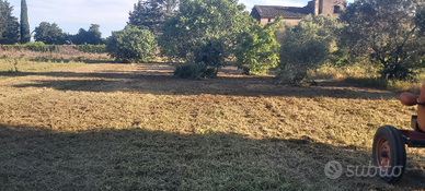 Giardiniere ,potature,aiuole,siepi ,trinciature