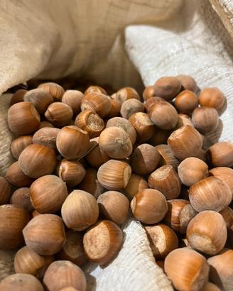 Nocciole
