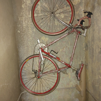 Bici da corsa Bottecchia