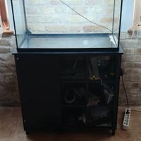 Acquario Tetra 6 mesi di vita