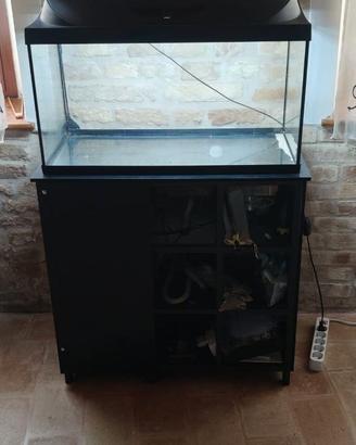 Acquario Tetra 6 mesi di vita