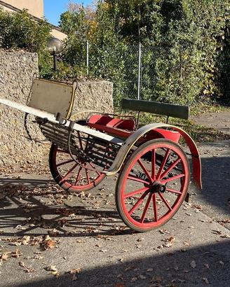 Carrozza per cavalli