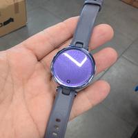 Garmin lily