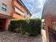 Immagine 12