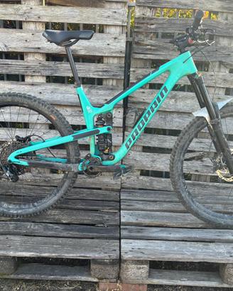 Propain mtb TG: -L-
