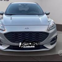 Fod kuga