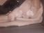 Immagine 5