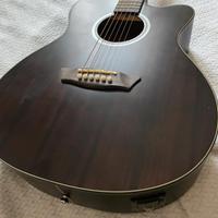 Chitarra acustica Washburn 