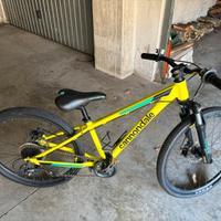 Bicicletta cannondale kids trail 24
