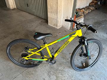 Bicicletta cannondale kids trail 24