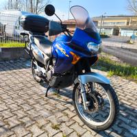 Honda XL Transalp 650 V con borse
