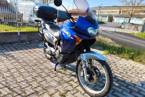 Honda XL Transalp 650 V con borse