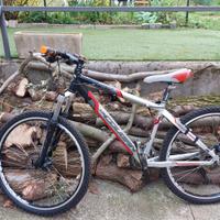 Bicicletta Mountain Bike Lee Cougan