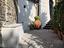 Immagine 6
