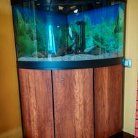 acquario 190 litri