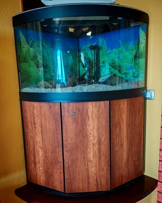 acquario 190 litri