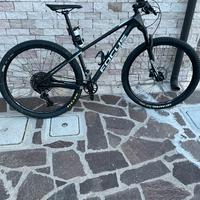 Mountain bike Focus Raven 29’ in carbonio