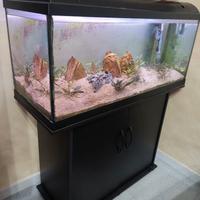 acquario + mobile + filtro 