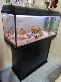 acquario + mobile + filtro 