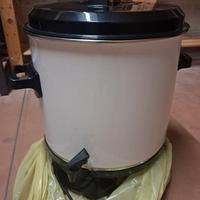 Bollitore elettrico pastorizzatore