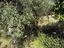 Immagine 13