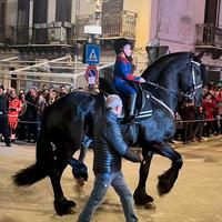 Addestramento cavalli