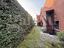 Immagine 29
