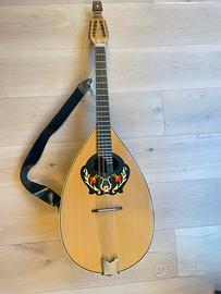 Mandocello Musikalia italiano – settato + custodia