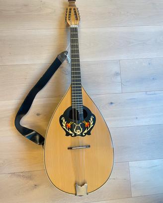 Mandocello Musikalia italiano – settato + custodia