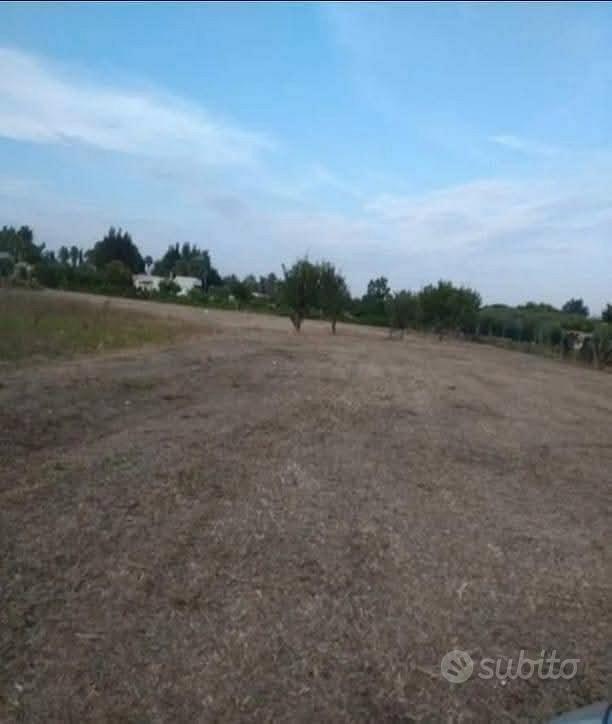 Terreno Agricolo - Vista 3