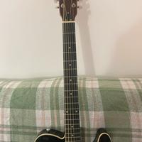 Chitarra silent acustica James Neligan EW300