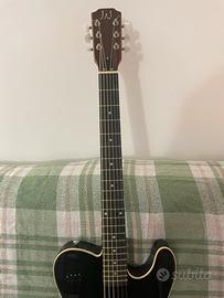 Chitarra silent acustica James Neligan EW300