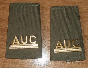 Gradi tubolari per soprabito - Allievo Ufficiale