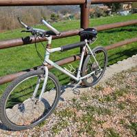 Bicicletta uomo  Willer Triestina