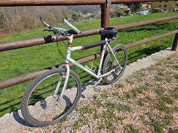 Bicicletta uomo  Willer Triestina