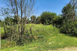 Immobile in asta di 1178 m² a Megliadino San Vital