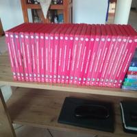 DVD heidi