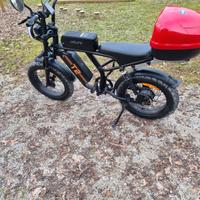 bicicletta elettrica