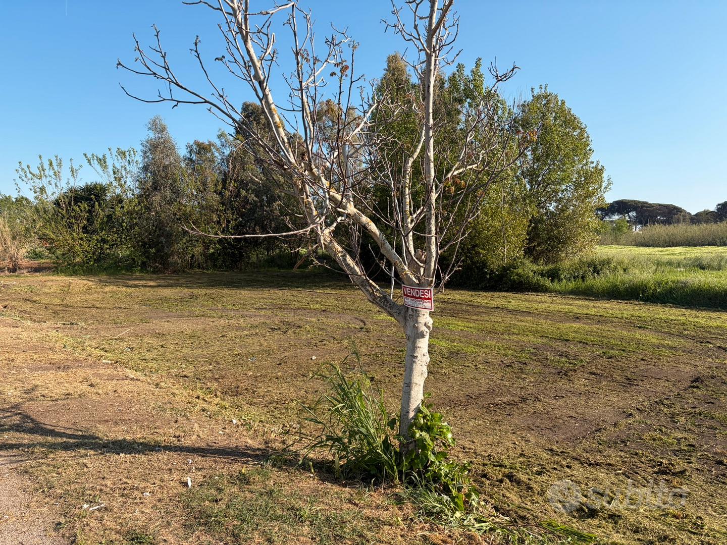Terreno a 500 mt dal mare - Vista 5
