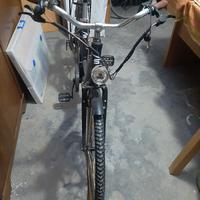 bicicletta elettrica