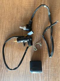 Aria automatica carburatore dell’orto