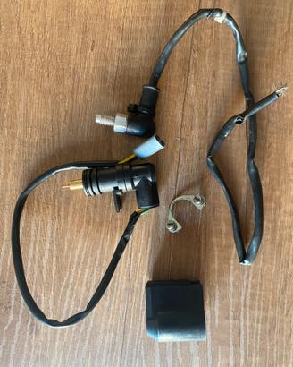 Aria automatica carburatore dell’orto