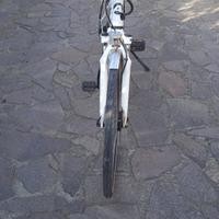 Bici elettrica